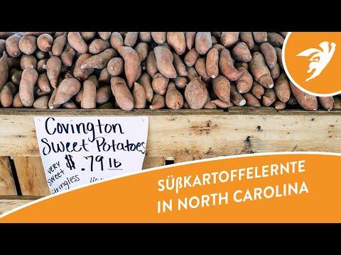 YouTube-Video-Thumbnail