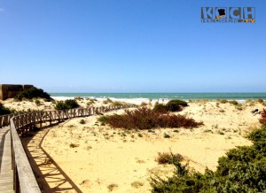 Menshealthcamp - www.kochhelden.tv