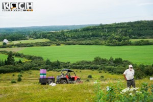 Blaubeerfeld - www.kochhelden.tv