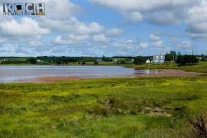 Nova Scotia- www.kochhelden.tv