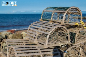 Pictou Lodge - www.kochhelden.tv