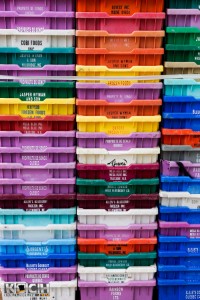 Wilde Blaubeeren - www.kochhelden.tv