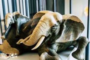 Spa Bollants im Park - www.kochhelden.tv