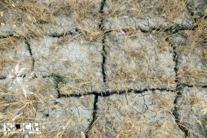 Boden - www.kochhelden.tv