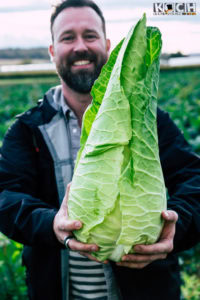 Spitzkohl - www.kochhelden.tv