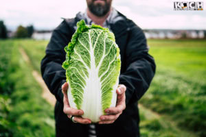 Chinakohl - www.kochhelden.tv