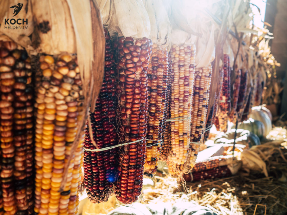 Maiskolben frisch - www.kochhelden.tv