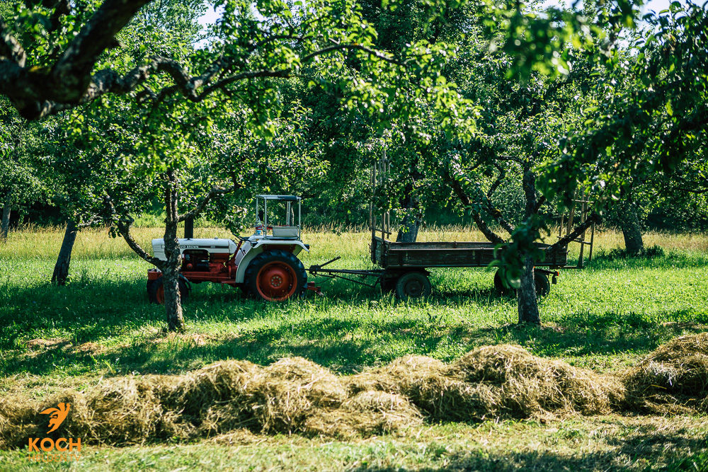 Streuobstwiese - www.kochhelden.tv