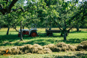 Streuobstwiese - www.kochhelden.tv