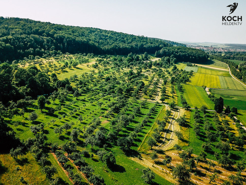 Streuobstwiese - www.kochhelden.tv