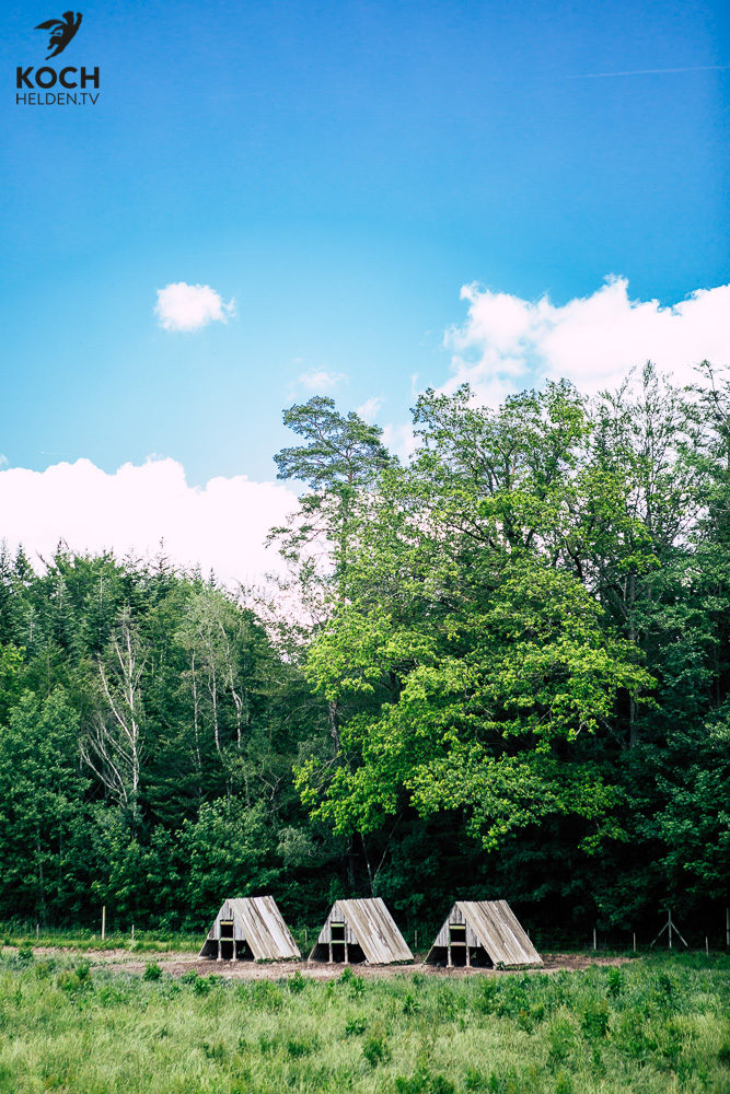 Schwäbisch Hällisches Landschwein - www.kochhelden.tv