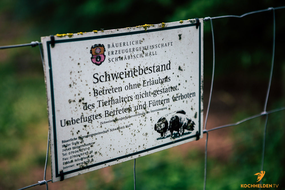 Schwäbisch Hällisches Landschwein - www.kochhelden.tv