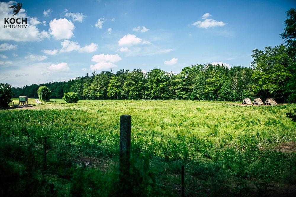 Schwäbisch Hällisches Landschwein - www.kochhelden.tv