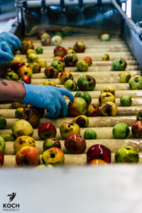 Kochhelden.TV bei den Boller Fruchtsäfte - www.kochhelden.tvn