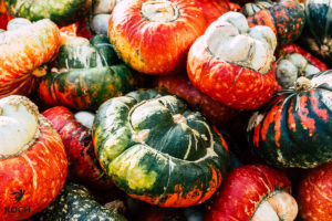 Kürbisausstellung Ludwigsburg - www.kochhelden.tv