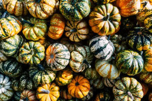 Kürbisausstellung Ludwigsburg - www.kochhelden.tv