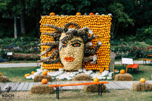 Kürbisausstellung Ludwigsburg - www.kochhelden.tv