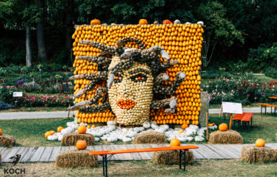 Kürbisausstellung Ludwigsburg - www.kochhelden.tv