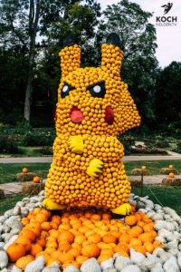 Kürbisausstellung Ludwigsburg - www.kochhelden.tv