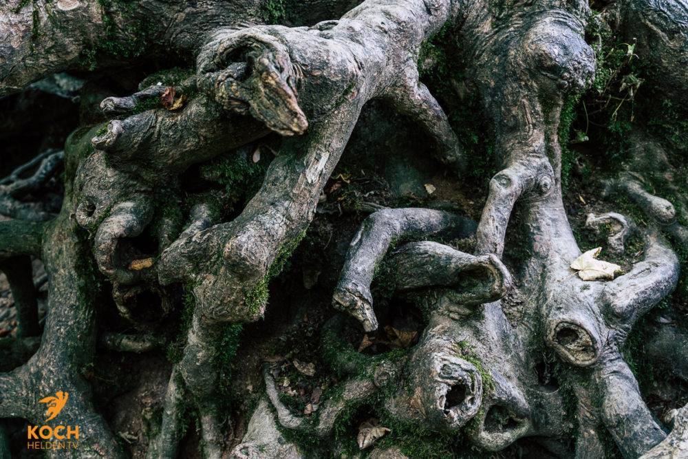 Bad Urach - www.kochhelden.tv