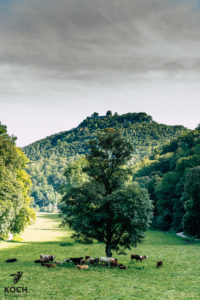 Bad Urach - www.kochhelden.tv