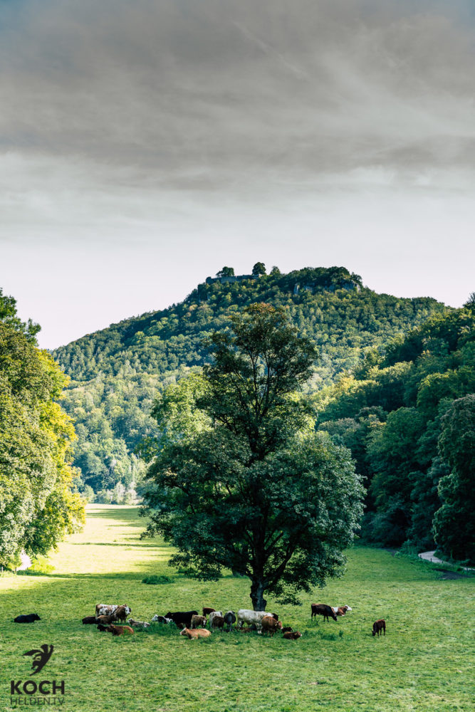 Bad Urach - www.kochhelden.tv