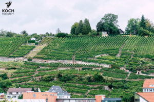 Weinberg Esslingen - www.kochhelden.tv